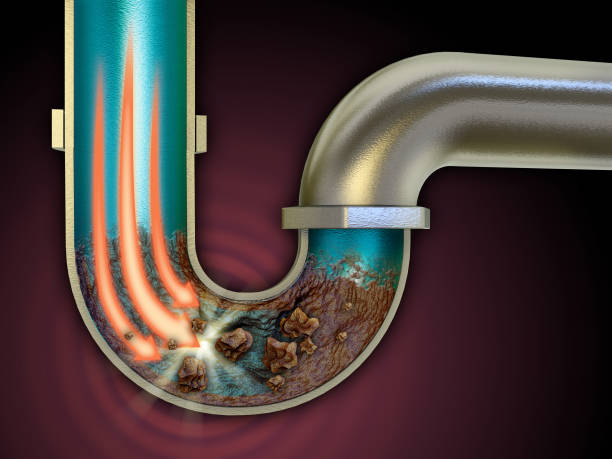 Understanding the Causes of Clogged Drains