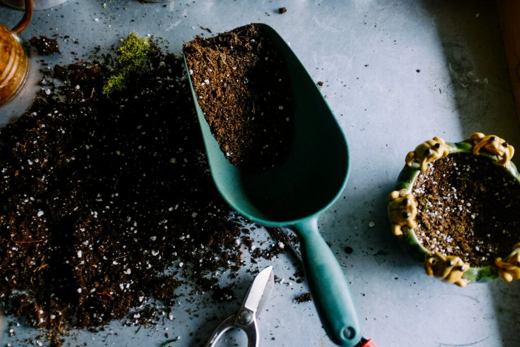 Nurturing Your Growing Garden