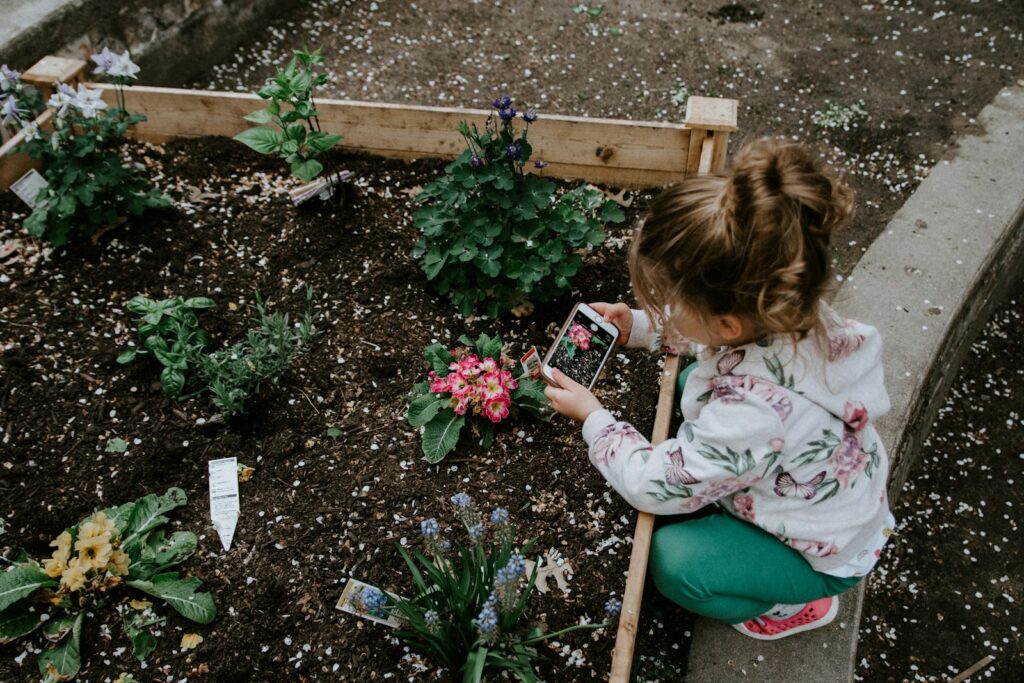 Start a Vegetable Garden